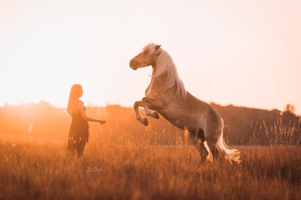 Ein Shooting-Bild mit Menschen und/oder Tieren inmitten wunderschöner Natur.