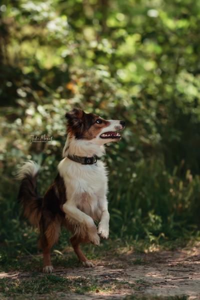 Ein Shooting-Bild mit Menschen und/oder Tieren inmitten wunderschöner Natur.