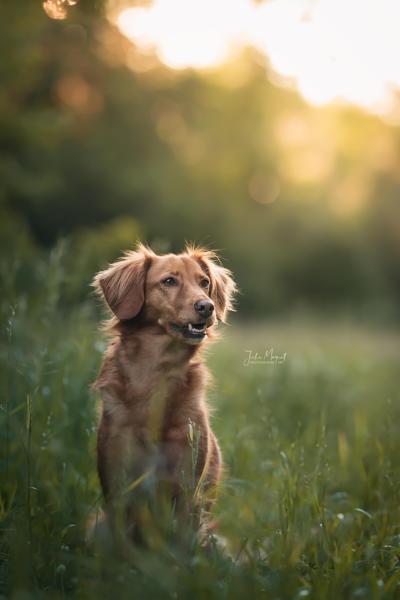 Ein Shooting-Bild mit Menschen und/oder Tieren inmitten wunderschöner Natur.